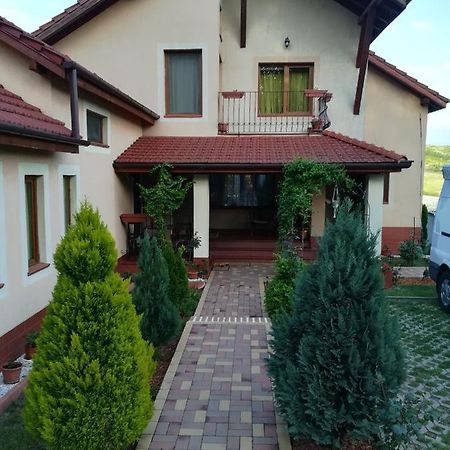 Casa Doina Băile Felix Exterior foto