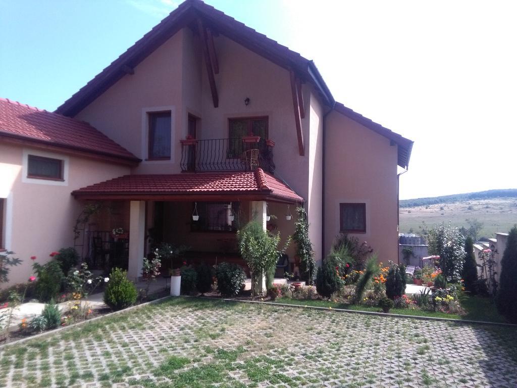 Casa Doina Băile Felix Exterior foto